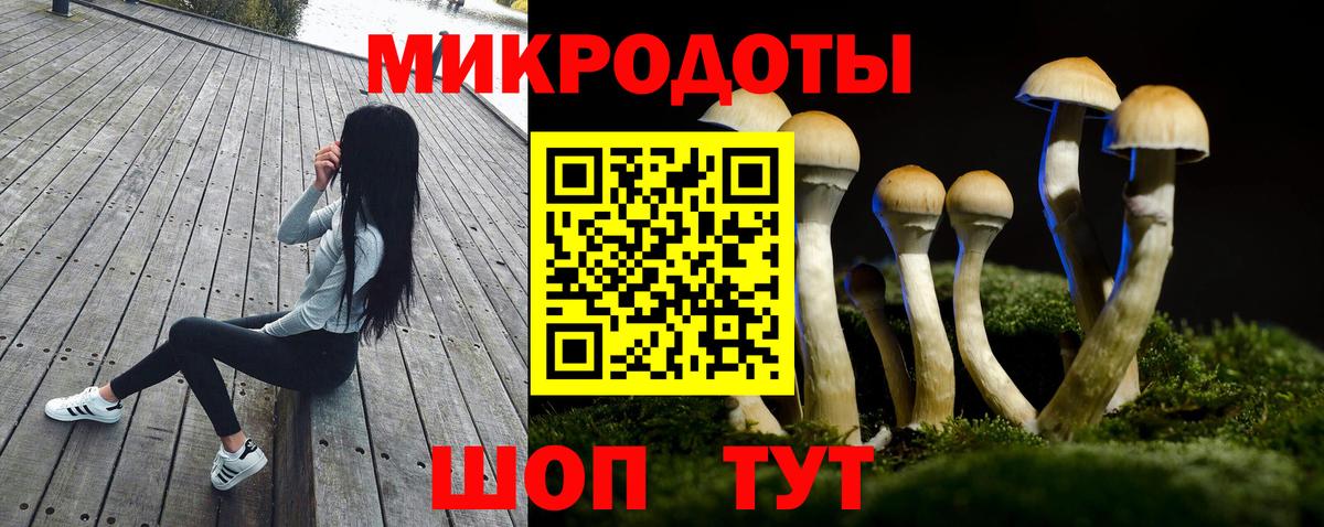 Псилоцибиновые грибы Psilocybine cubensis Амурск