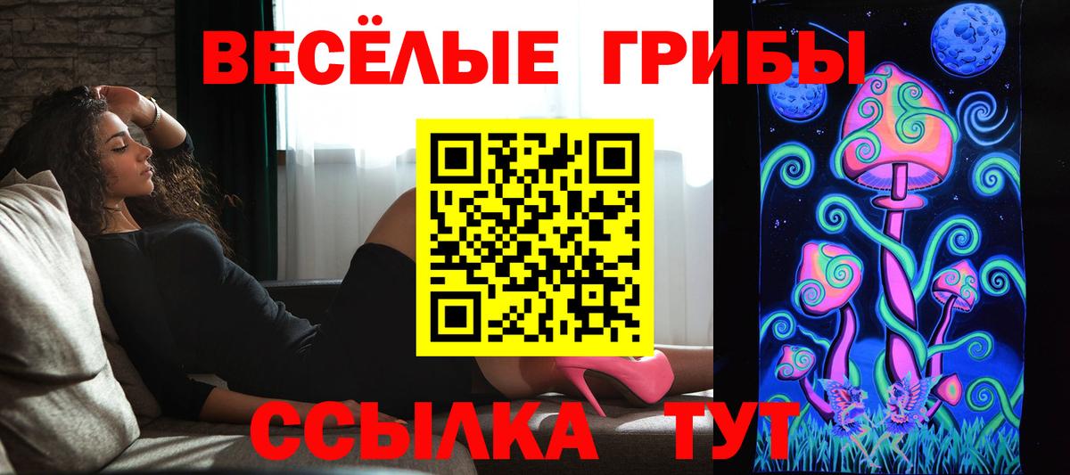 Галлюциногенные грибы Psilocybine cubensis  Вход с VPN  Амурск 